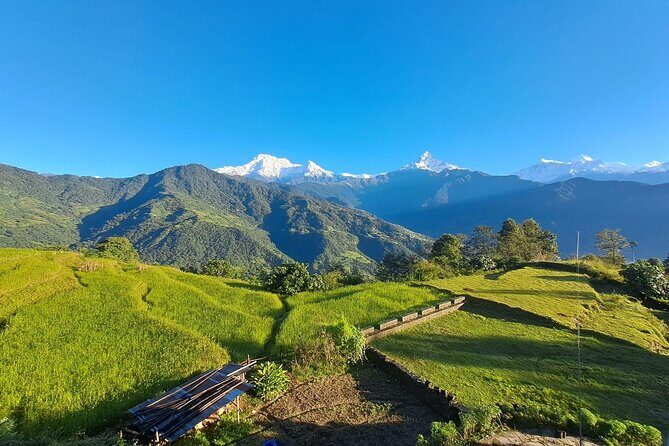 Pokhara: Easy Day Hike to Australian Camp & Dhampus Village - Dhampus village stop: culture between the big views