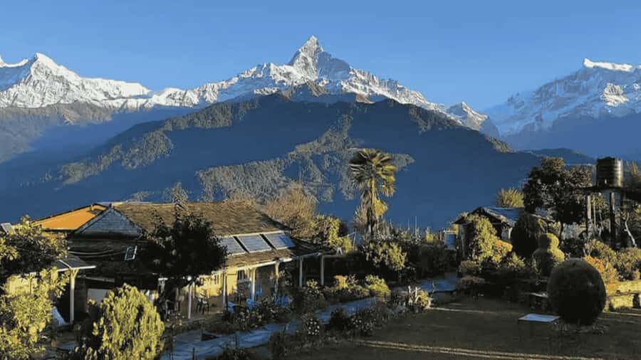 Pokhara: Guided Day Hike From Dampus To Australian Base Camp - Key things to know before you hike Dhampus to Australian Camp