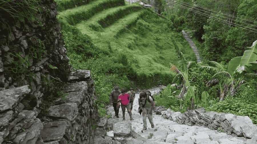 Pokhara: Guided Day Hike From Dampus To Australian Base Camp - Australian Camp viewpoint: where sunrise framing gets real