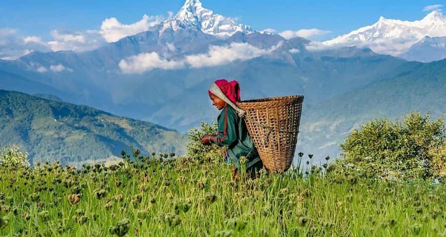 Pokhara: Guided Day Hike From Dampus To Australian Base Camp - Guides are the difference: Kiran, Moti, and Santos style help