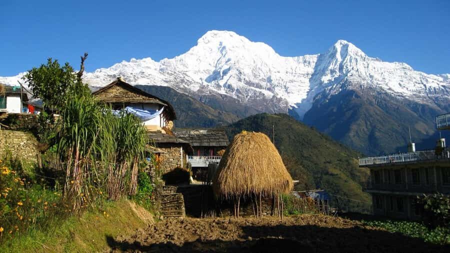 Pokhara: Guided Day Hike From Dampus To Australian Base Camp - Price and value at $55 per person