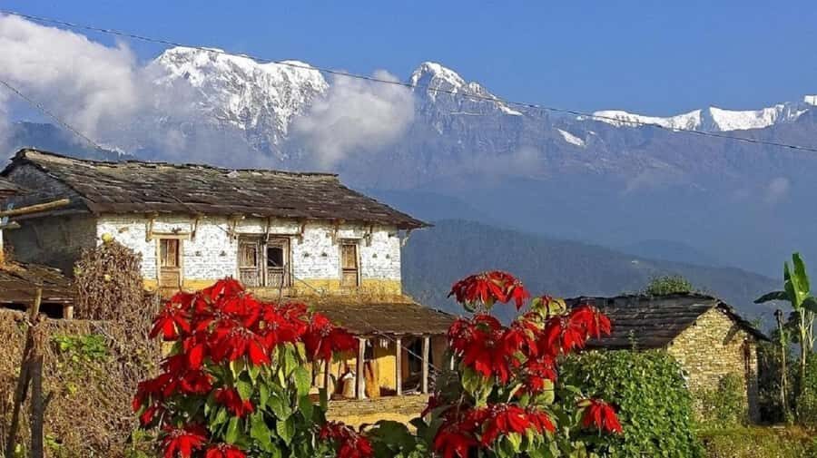 Pokhara: Guided Day Hike From Dampus To Australian Base Camp - Logistics from Pokhara: pickup points, private pacing, and the return ride