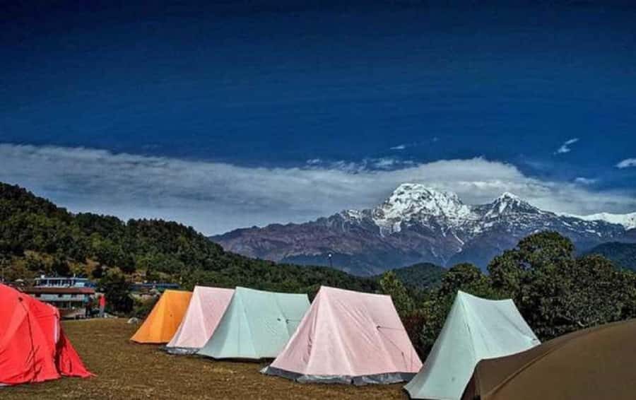 Pokhara: Guided Day Hike From Dampus To Australian Base Camp - The Dhampus-to-Australian Camp trail: forest, farms, and mountain windows