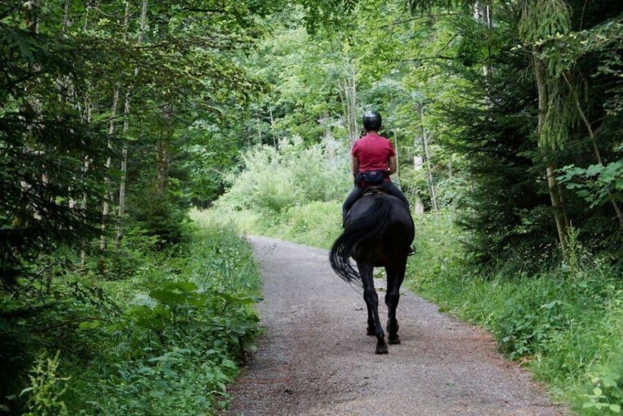Pokhara: Horseback Adventure - Getting to Lakeside Pokhara’s Riding Start