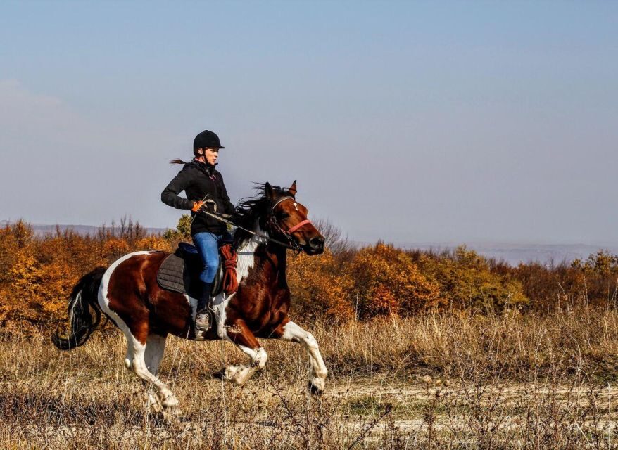Pokhara: Horseback Adventure - The Real Timing: 2.5 Hours That Move at a Human Pace