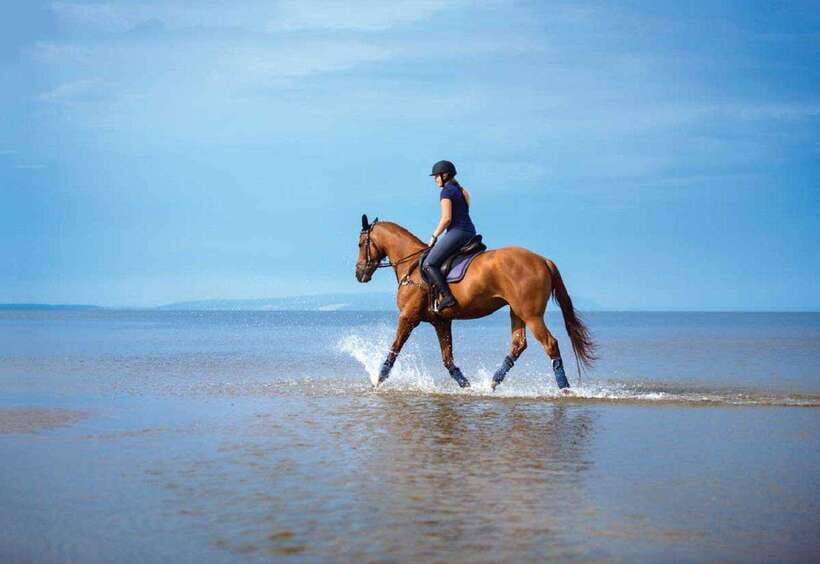 Pokhara: Horseback Riding Adventure with Hotel Pickup - What to bring so you feel comfortable the whole time