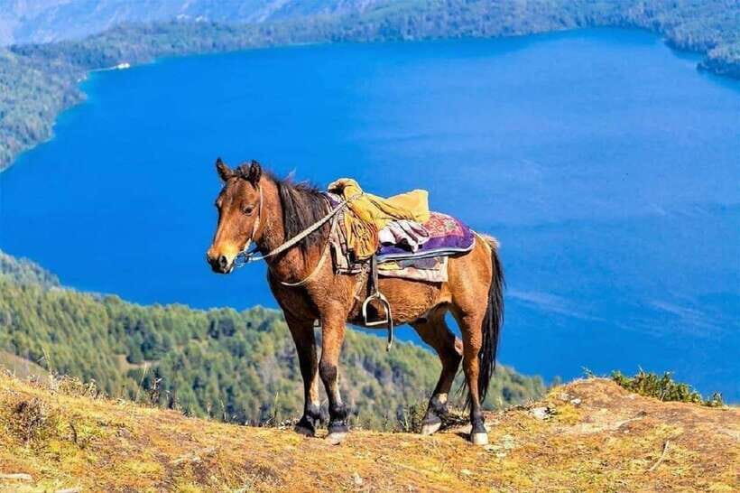 Pokhara: Horseback Riding Adventure with Hotel Pickup - What you’ll actually do in 2.5 hours on horseback