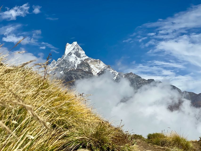 Pokhara: Majestic Mardi Base Camp Guided Trek with HotSpring - Day 3: The 4,300m Viewpoint Morning, Then a Full Descent Day