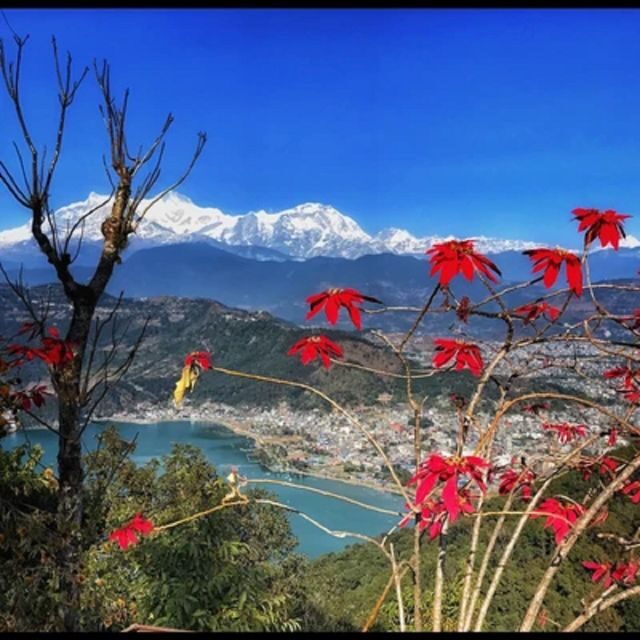 Pokhara: Pokhara Highlights Tour by Bus - Lakeside Rd 6 Pickup: Start Easy, Then Choose Your Own Speed
