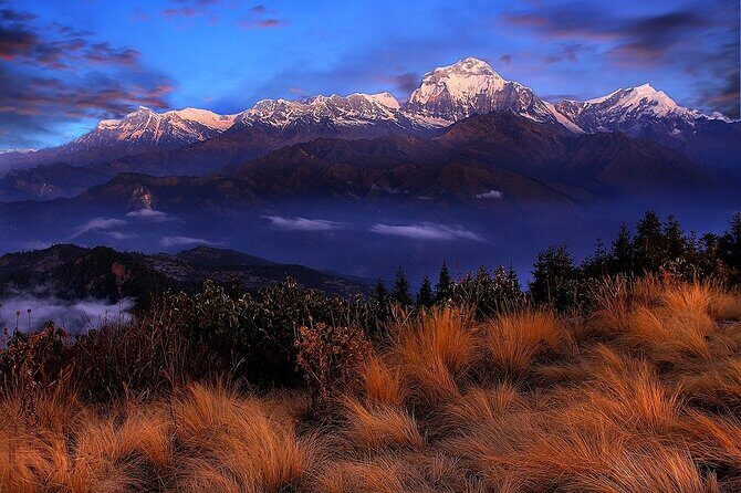 Pokhara: Poon Hill Ghorepani Short Trek - How hard is it really? Moderate trekking that still asks for effort