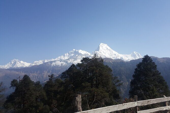 Poon hill Trek 3 days - Price and logistics: where this trek delivers the most value