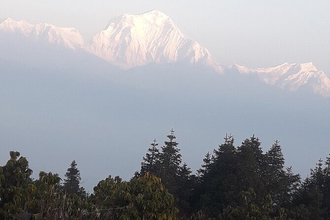Poon hill Trek 3 days - The trail support that makes this trek feel easier than it is