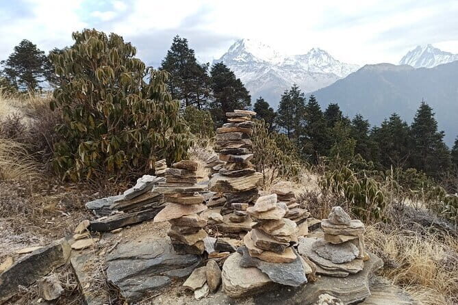 Poon Hill Trek from Pokhara 4 Days - Why the Poon Hill trek from Pokhara is such a smart 4-day choice