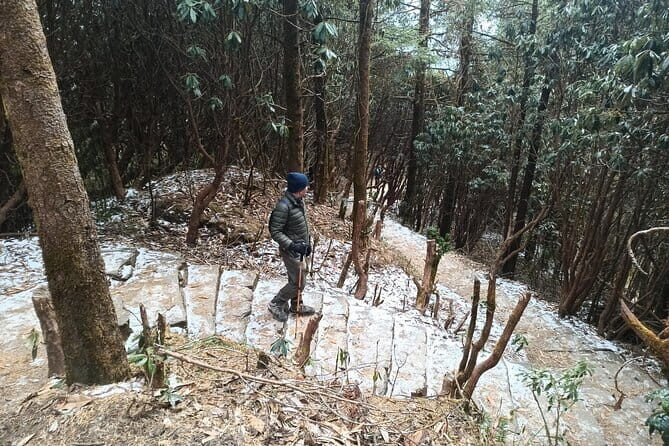 Poon Hill Trek from Pokhara 4 Days - Guest house nights: simple comfort on a trekking schedule