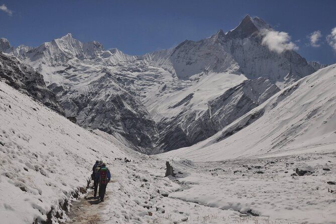 Private 7 - Day Annapurna Base Camp Trekking - What’s included—and why the value is more than the sticker price
