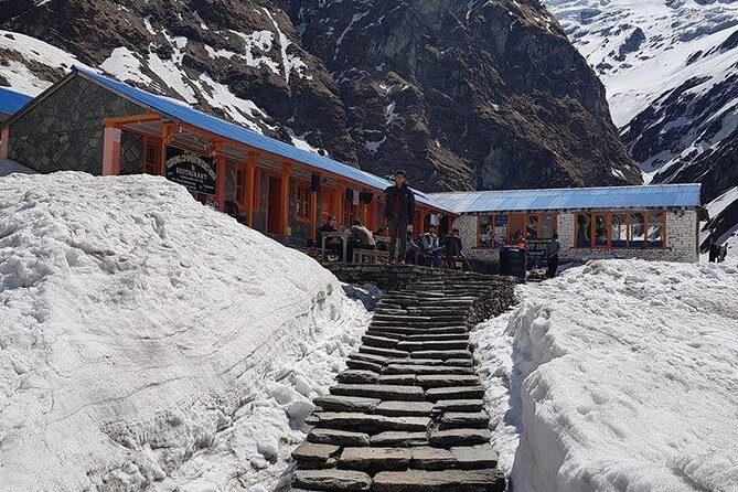 Private 7 - Day Annapurna Base Camp Trekking - Weeping Wall to Deurali: the slow grind through forests and shrines