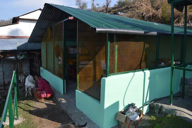 Sarangkot Village Coffee Culture and Authentic Local Life Tour - Stop 2 at Phewa Tal: hiking through village life